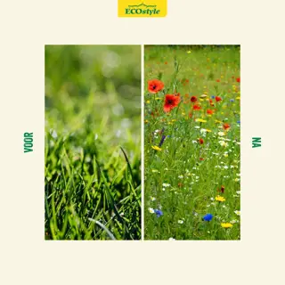 Ecostyle Graszaad Inheemse Bloemen 250g - afbeelding 3