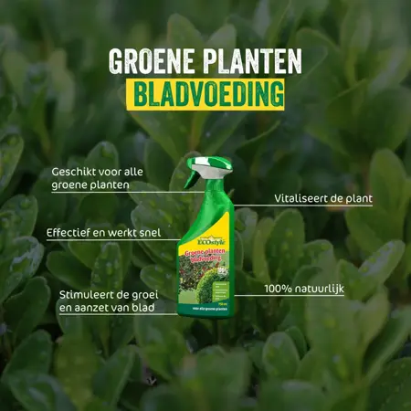 Ecostyle Groene Planten Bladvoeding 750 ml - afbeelding 2