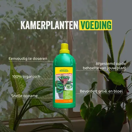 Ecostyle Kamerplanten voeding 1000 ml - afbeelding 2