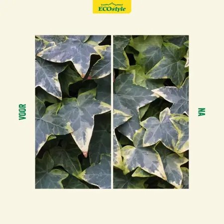 Ecostyle Klimplanten-AZ 800 g - afbeelding 3