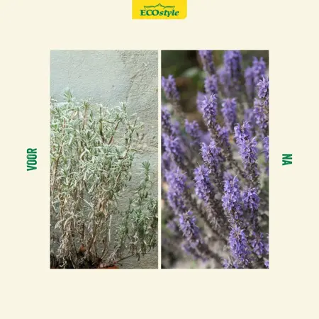 Ecostyle Lavendel-AZ 800 g - afbeelding 3