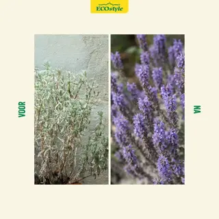 Ecostyle Lavendel-AZ 800 g - afbeelding 3