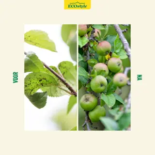 Ecostyle LuisVrij gebruiksklaar 750 ml - afbeelding 4