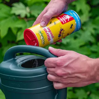 ECOstyle Mierenpoeder 400 gram - afbeelding 4