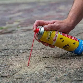 ECOstyle MierenSpray 400 ml - afbeelding 3