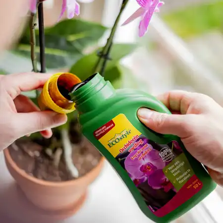 Ecostyle Orchideeën voeding 500 ml - afbeelding 3