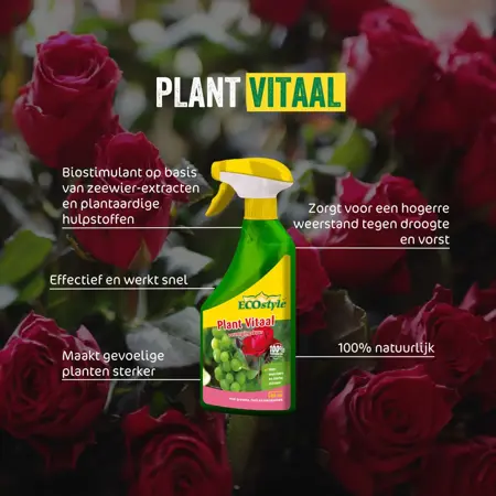 ECOstyle Plant Vitaal gebruiksklaar 500 ml - afbeelding 2