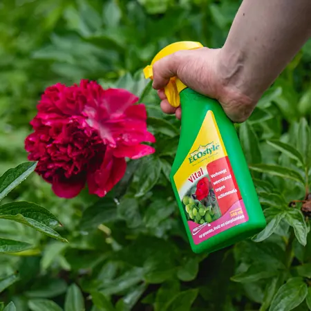 ECOstyle Plant Vitaal gebruiksklaar 500 ml - afbeelding 3