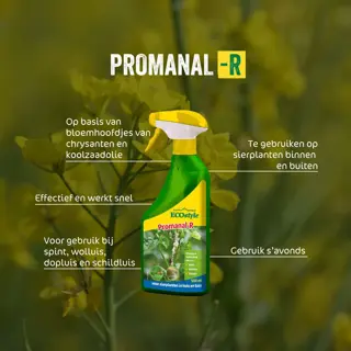 ECOstyle Promanal-R Gebruiksklaar 500 ml - afbeelding 3
