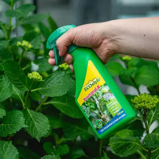 ECOstyle Promanal-R Gebruiksklaar 500 ml - afbeelding 2