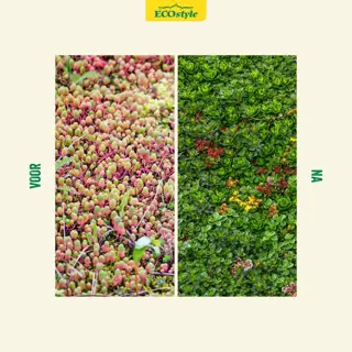 Ecostyle Sedum & Groene daken-AZ 800 g - afbeelding 3