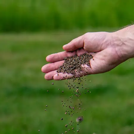 Ecostyle Sedum & Groene daken-AZ 800 g - afbeelding 4