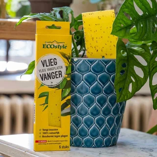ECOstyle Vliegvanger Vlieg Vangplaten 5stuks