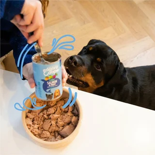 Edgard & Cooper - Hond Blik Adult Zalm & Kalkoen 400g - afbeelding 4