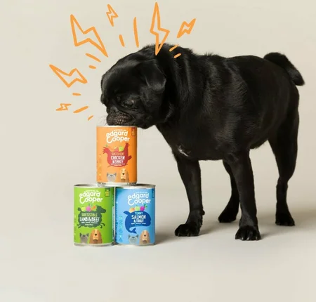 Edgard & Cooper - Hond Blik Adult Zalm & Kalkoen 400g - afbeelding 3