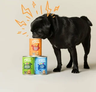 Edgard & Cooper - Hond Blik Adult Zalm & Kalkoen 400g - afbeelding 3