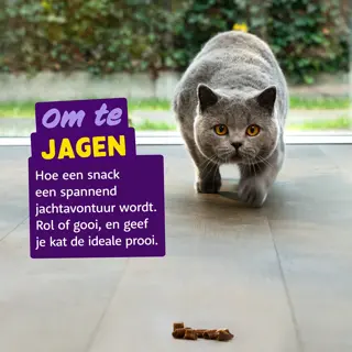 Edgard & Cooper - Kattensnack Rolls Kip/Kalkoen 45g - afbeelding 4