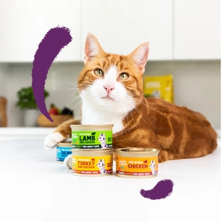 Edgard & Cooper - Kattenvoer Adult Zalm en Kip 85g - afbeelding 3