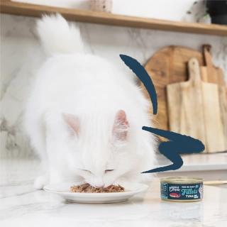 Edgard & Cooper - Kattenvoer Filets Tonijn en Inktvis 70g - afbeelding 3