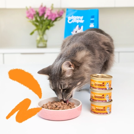 Edgard & Cooper - Kattenvoer Kip 85g - afbeelding 3