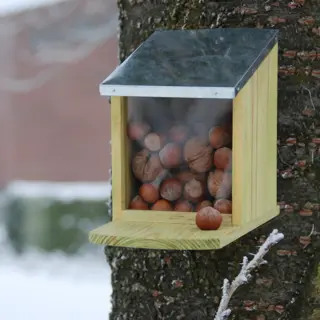 Eekhoorn voederhuis - afbeelding 2