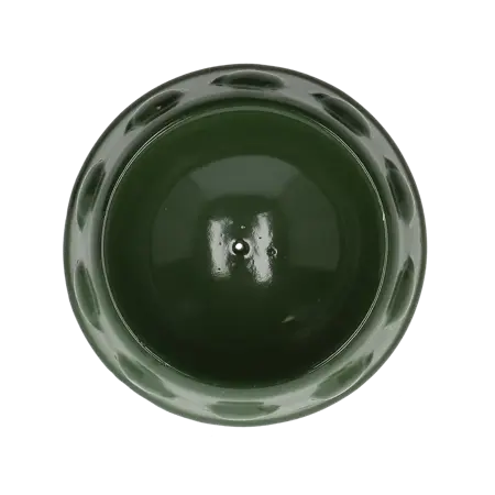 Egelvoederschaal - afbeelding 2