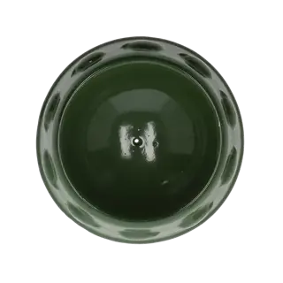 Egelvoederschaal - afbeelding 2