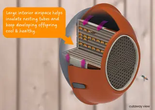 Eggologic Hive Pod Harvest Orange - bijenhotel - afbeelding 3