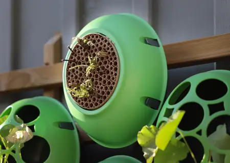 Eggologic Hive Pod Harvest Orange - bijenhotel - afbeelding 6