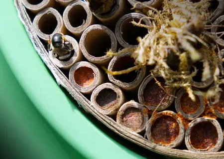 Eggologic Hive Pod Stone Gray - bijenhotel - afbeelding 7