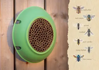 Eggologic Hive Pod Tuscan Green - bijenhotel - afbeelding 6