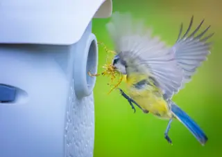 Eggologic Nester Pod Stone Grey - vogelhuisje duurzaam - afbeelding 8