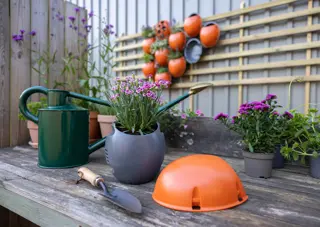Eggologic Planter Pod Harvest Orange - verticaal tuinieren - afbeelding 6