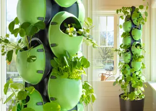 Eggologic Planter Pod Tuscan Green - verticaal tuinieren - afbeelding 5