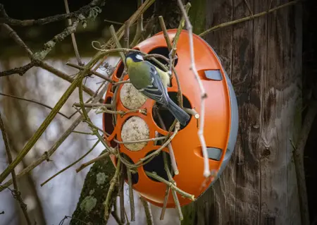 Eggologic Trellis Pod Harvest Orange - verticaal tuinieren - afbeelding 6