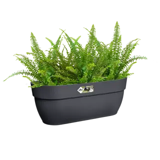 Elho Hangpot Vibia Campana Easy Large Antraciet - afbeelding 4