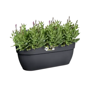 Elho Hangpot Vibia Campana Easy Large Antraciet - afbeelding 5