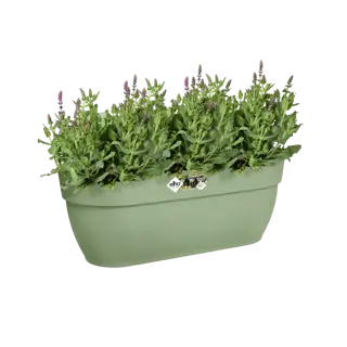 Elho Hangpot Vibia Campana Easy Large Groen - afbeelding 3