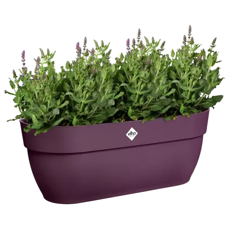 Elho Hangpot Vibia Campana Easy Large Paars - afbeelding 4