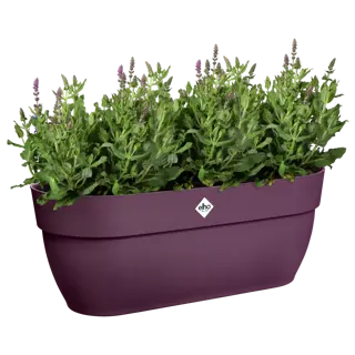 Elho Hangpot Vibia Campana Easy Large Paars - afbeelding 4