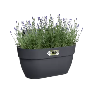 Elho Hangpot Vibia Campana Easy Medium Antraciet - afbeelding 3