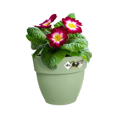 Elho Hangpot Vibia Campana Easy Small Groen - afbeelding 3