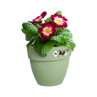 Elho Hangpot Vibia Campana Easy Small Groen - afbeelding 3