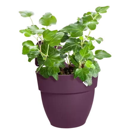 Elho Hangpot Vibia Campana Easy Small Paars - afbeelding 3
