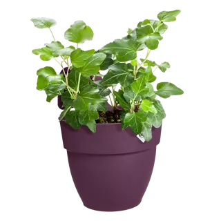 Elho Hangpot Vibia Campana Easy Small Paars - afbeelding 3