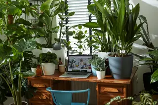 Elho - Pot Brussels Rond D14cm Wit - afbeelding 4