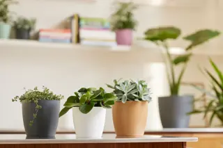 Elho - Pot Brussels Rond D16cm Wit - afbeelding 5