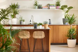 Elho - Pot Brussels Rond D22cm Wit - afbeelding 4