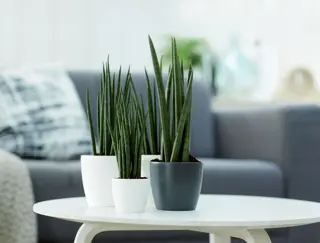 Elho - Pot Brussels Rond Mini D10.5cm Wit - afbeelding 4