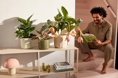 Elho Pot Facet D14cm Bos Groen - afbeelding 7